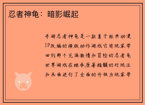 忍者神龟：暗影崛起